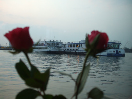 roses-and-barges 2408680290 o