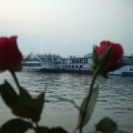 roses-and-barges_2408680290_o.jpg